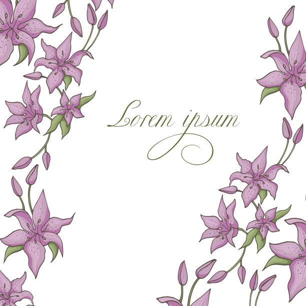 向量莉莉4图片下载