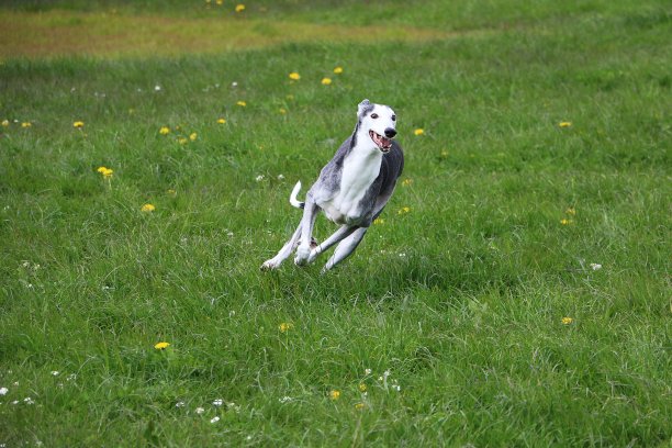 排水沟风洪图片下载
