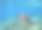 海底图片素材ID：157226686