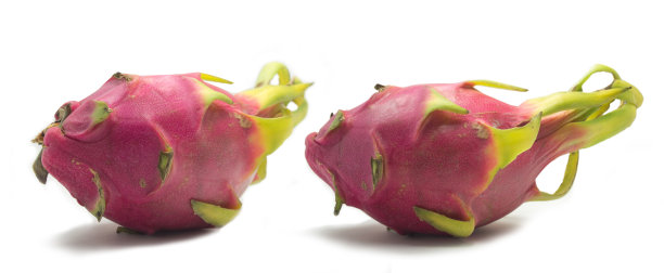 龙水果孤立图片下载