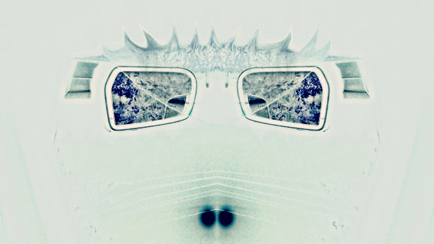 太阳镜很酷图片下载