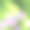向量模糊的自然夏季绿色背景图片下载