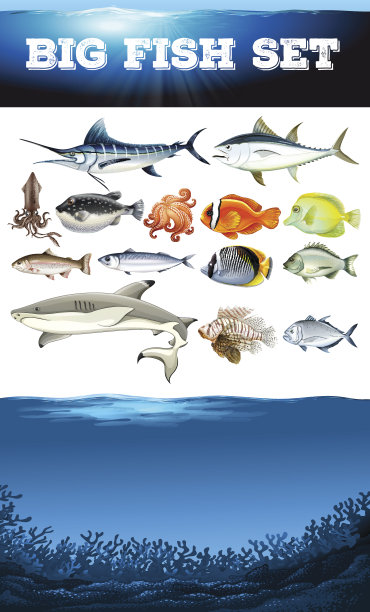 海洋动物海洋景象图片下载