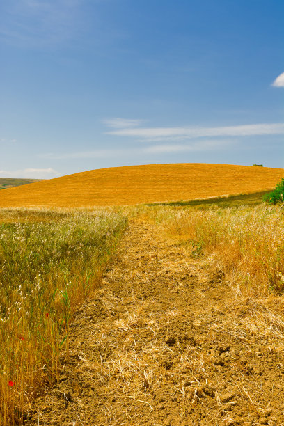 收获后图片下载