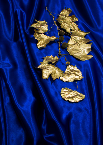 金色和紫色的图片下载