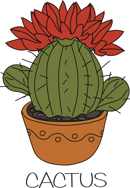 开红花的仙人掌图片下载