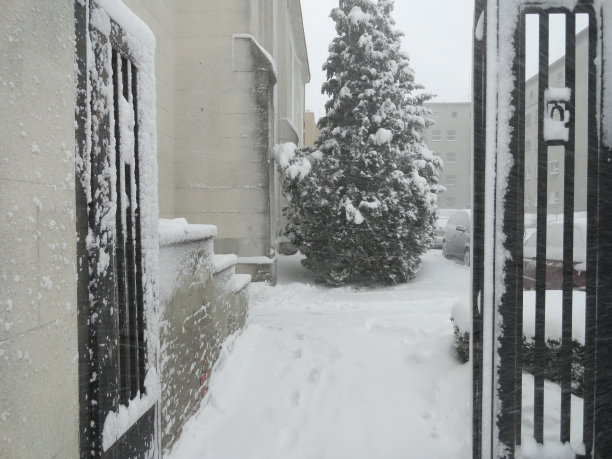 冬天的街道图片下载