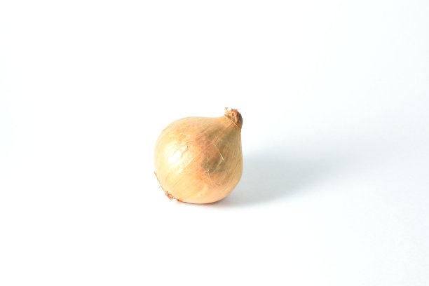 一个洋葱图片下载