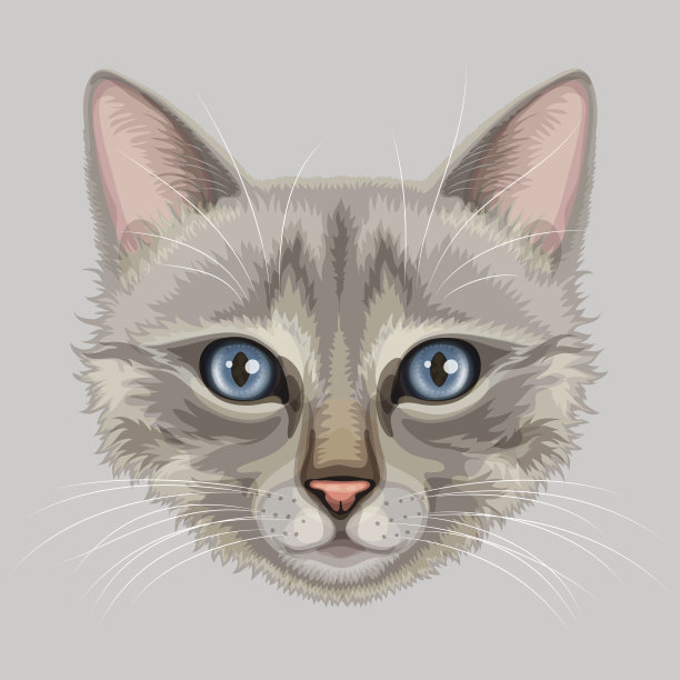 画只猫枪口图片下载