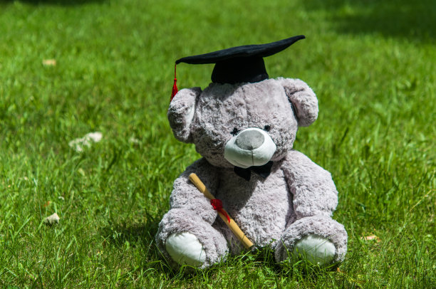 泰迪熊本科毕业。图片下载