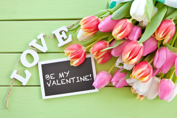 丰富多彩的春天花图片下载