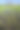 水稻种植图片下载