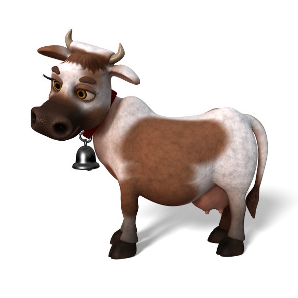 年轻的牛图片下载