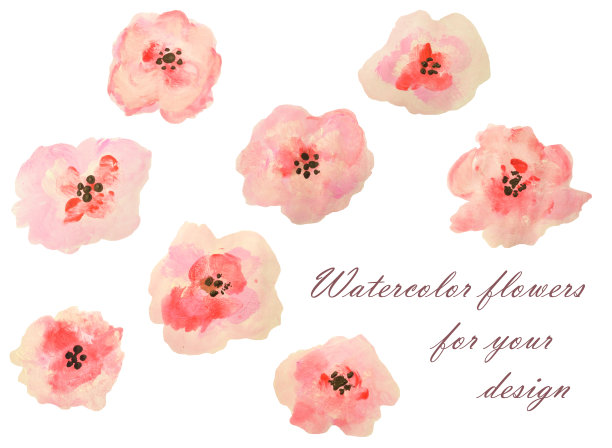 一套美丽的水彩花在白色的背景图片下载