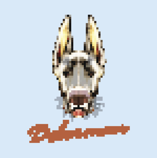 杜宾犬的狗图片下载