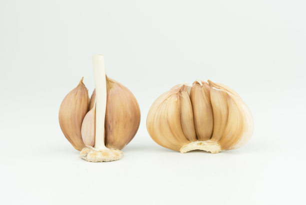 大蒜孤立在白色背景上图片下载