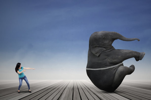 年轻女子拉着大象图片下载