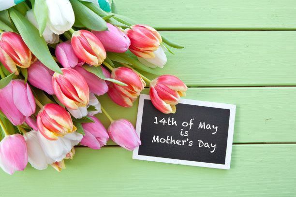 丰富多彩的春天花图片下载