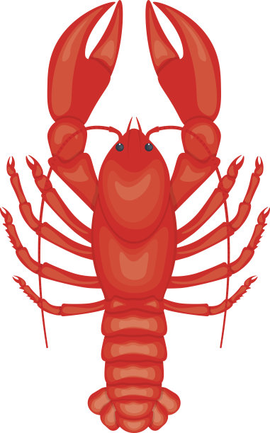 小龙虾矢量插图孤立在白色背景图片下载