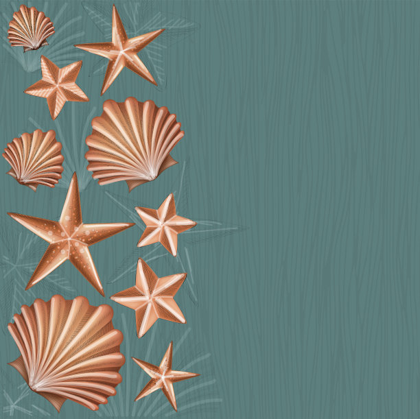 侧面装饰贝壳和海星图片下载