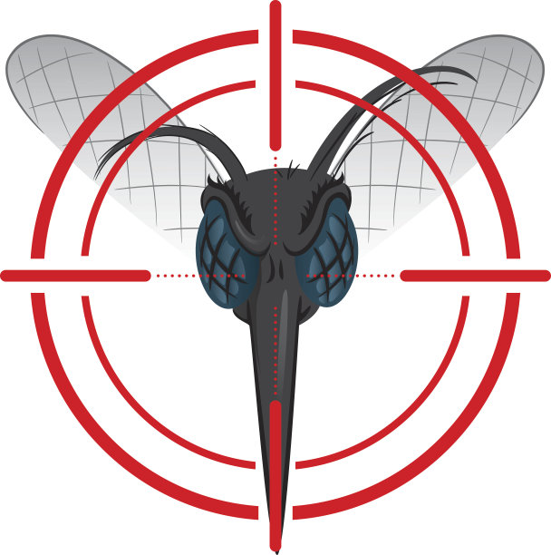 埃及伊蚊高跷瞄准目标，前头图片下载