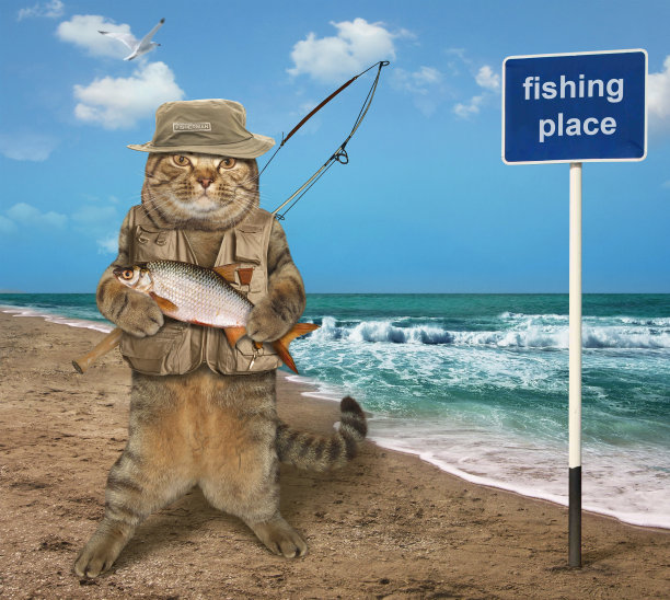 猫鱼人和鱼图片下载