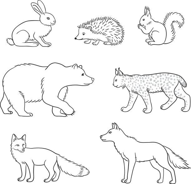 一组矢量森林动物的轮廓图片下载