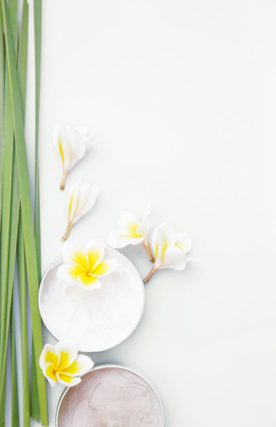 Spa静物图片下载