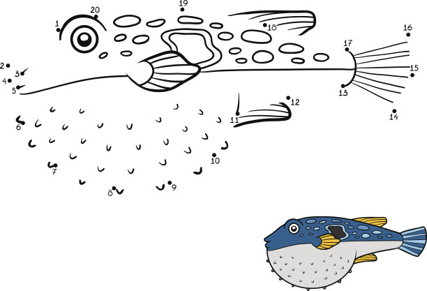 数字游戏,河豚图片下载