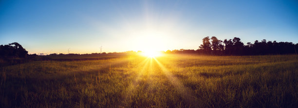 日出的国家风景图片下载
