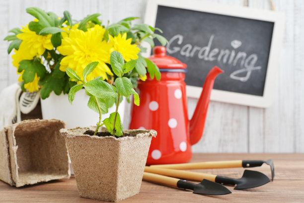 春天在花园的概念图片下载