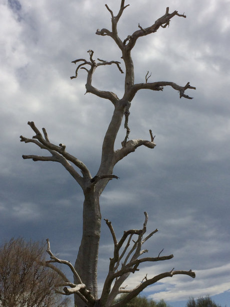 风暴来了图片下载