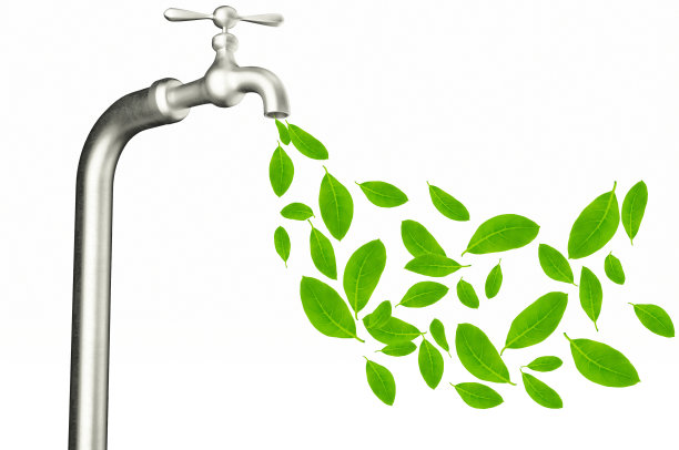 水龙头与绿色叶子孤立在白色背景。图片下载