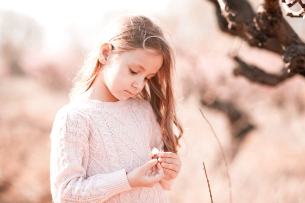 孩子花图片下载