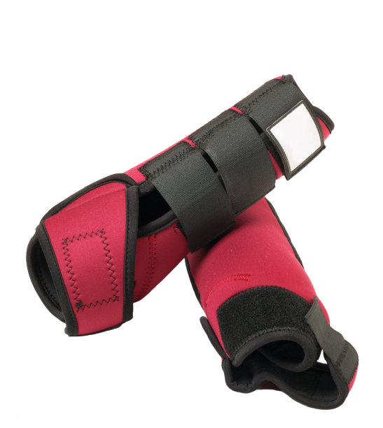 马腿上的红色护具被隔离在白色上图片下载