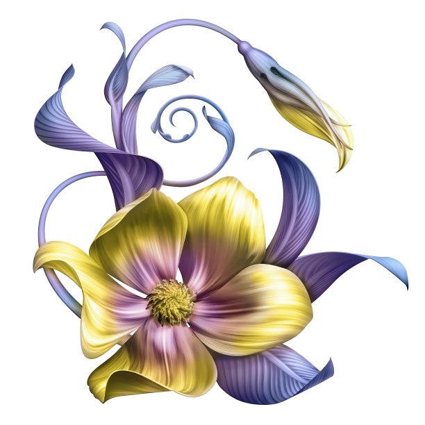 抽象的热带花卉，植物插图，装饰安排，卷轴叶，剪辑艺术元素孤立在白色的背景图片下载