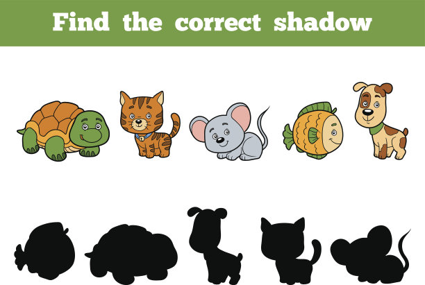 为孩子找到合适的影子。动物集合图片下载