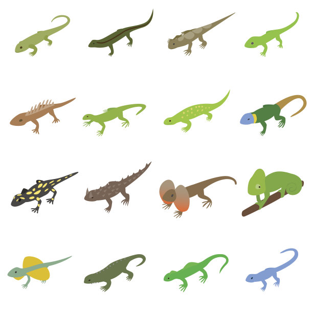 蜥蜴图标设置，等距3d风格图片下载