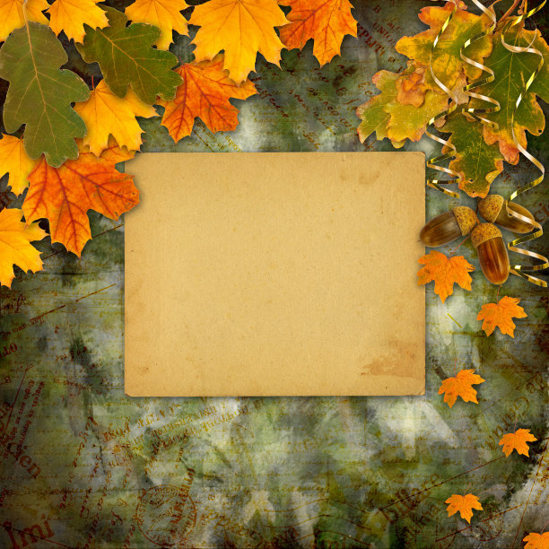 鲜艳的五彩秋叶在抽象美丽的背景上图片下载