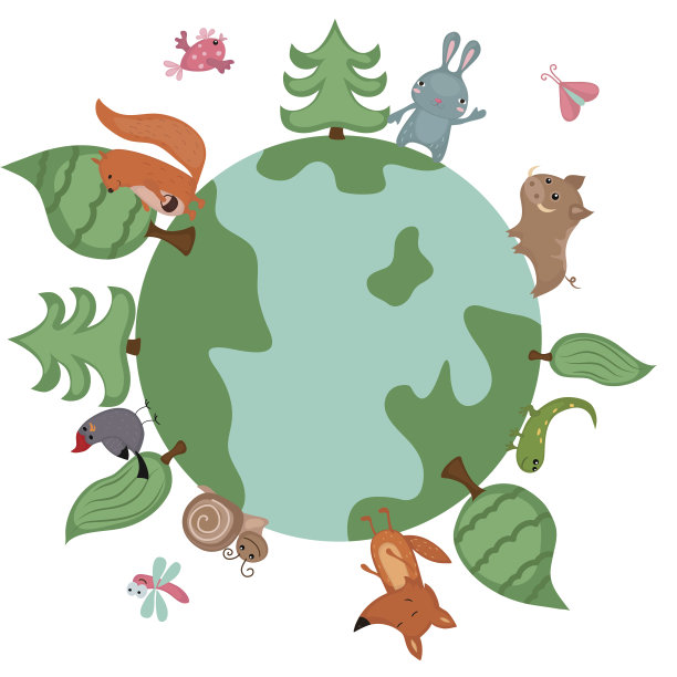 地球上有野生动物和植物图片下载