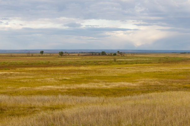 湿地或露天湿地图片下载