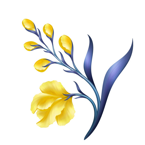 抽象的热带花卉，植物插图，装饰盛开的小枝，卷轴叶，剪贴艺术元素孤立在白色的背景图片下载