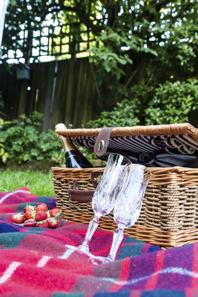 在花园里的双人香槟野餐图片下载