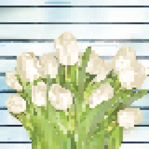 一束白色郁金香。每股收益10图片下载