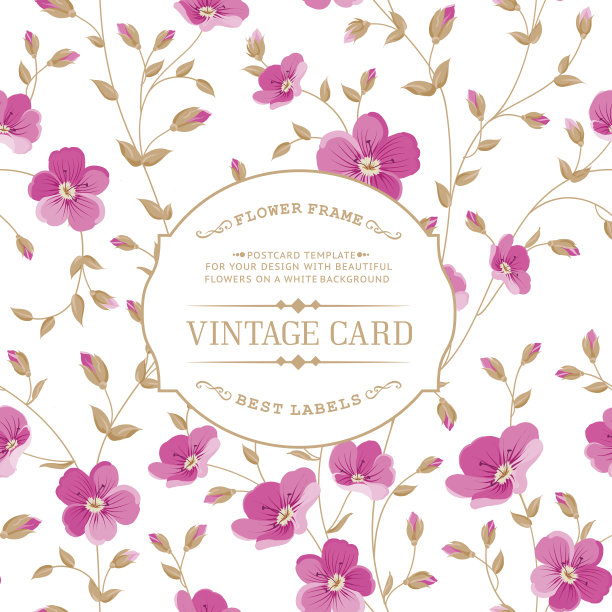 粉红色的花朵图片下载