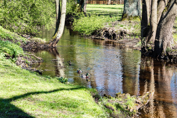 美丽的春色河在乡村图片下载