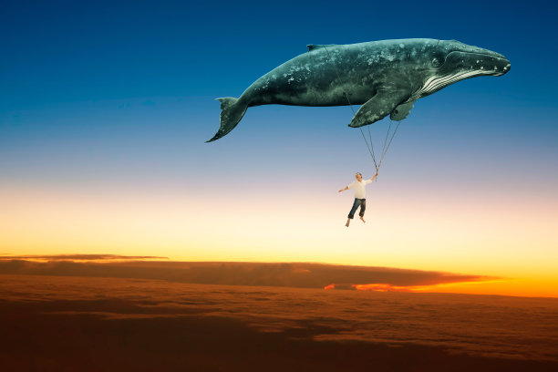 带我去梦中图片下载