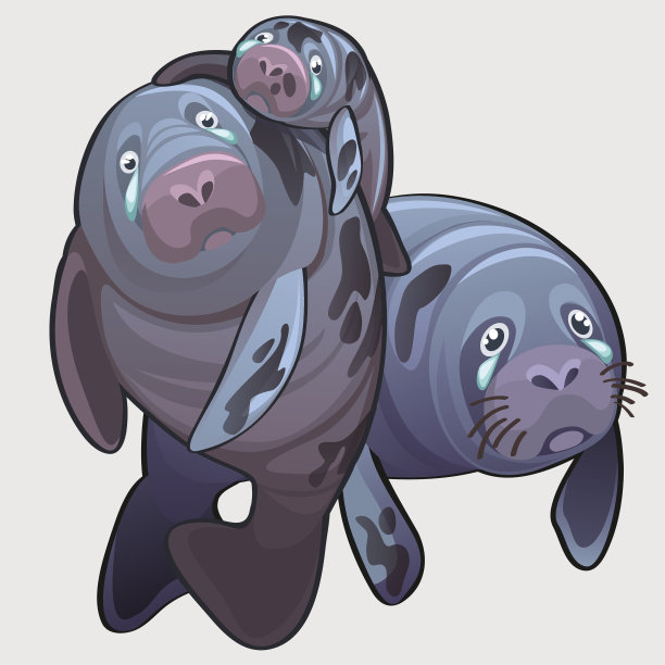 海豹突击队的家人，妈妈，爸爸和孩子在哭图片下载