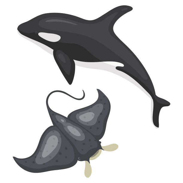 黄貂鱼水族馆生活游泳野生鱼类水下热带海洋动物载体插图图片下载