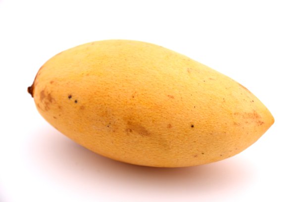 白色背景上的芒果。图片下载